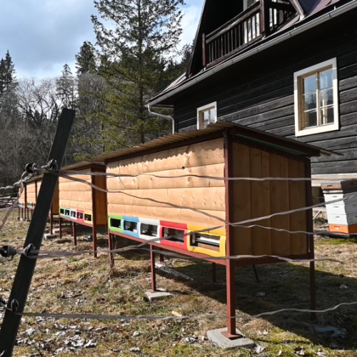 vcelnica_nizke_tatry_1000x563_q100_69d963828ac75.png